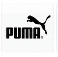 Top_Brands_by_Category_crop_01